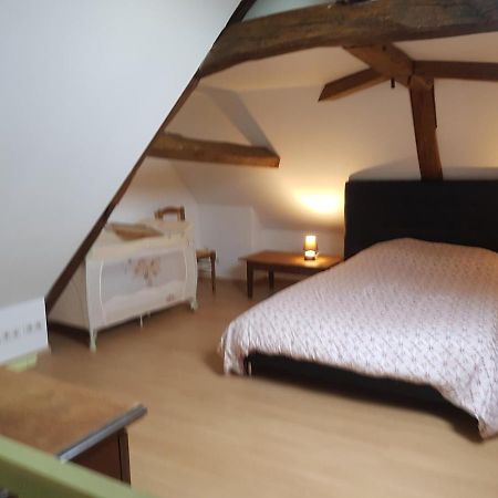 Beaulieu-sur-Loire Chez Laiko Wifi Gratuit 빌라 외부 사진