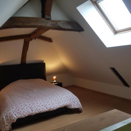 Beaulieu-sur-Loire Chez Laiko Wifi Gratuit 빌라 외부 사진
